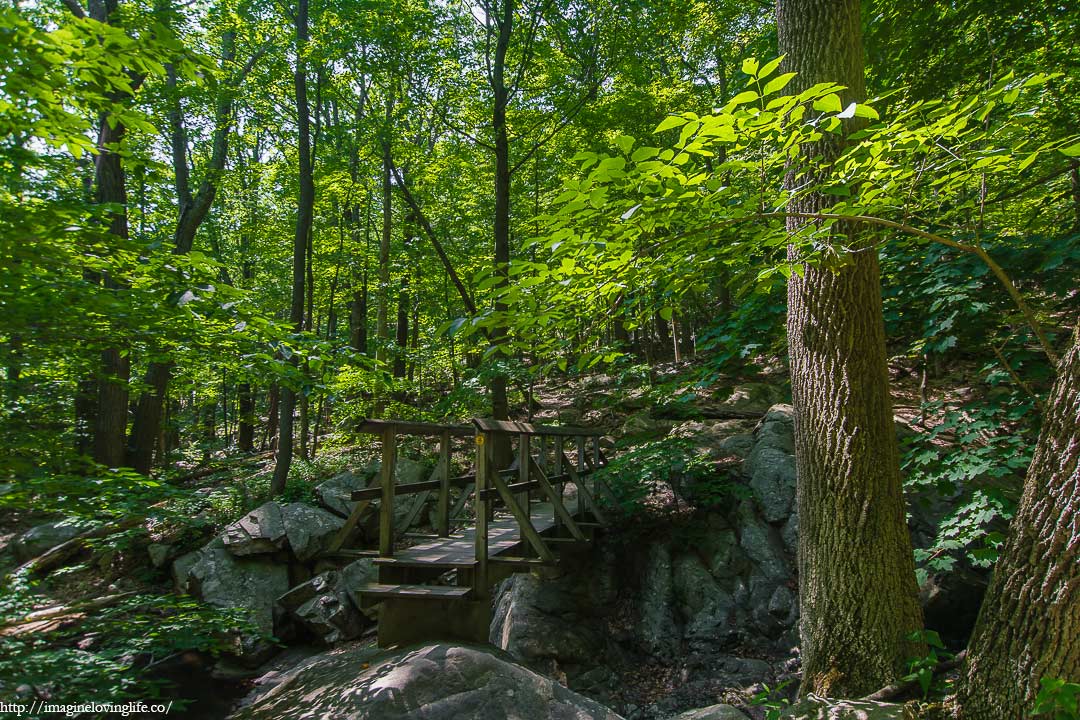 Red Trail Bridge